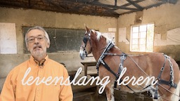 klaslokaal met paard